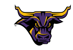 Minnesota State University - Women's Hockey